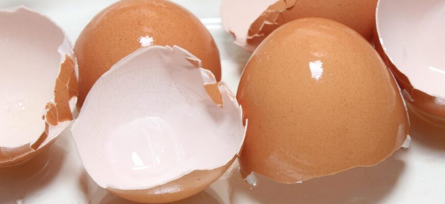 Яєчна шкаралупа + ЦЕ, і грядки плодоносять нон-стоп: починаю внесення вже у 2025