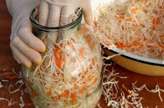 Як правильно зберігати кислу капусту: щоб не перекисла за зиму 2026 і не стала гіркою