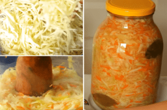 По 7 горошин чорного перцю в кожну банку – і квашена капуста не дає зайвого слизу: працює геніально