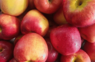 Лікарі виявили, що вживання одного яблука щовечора призводить до…