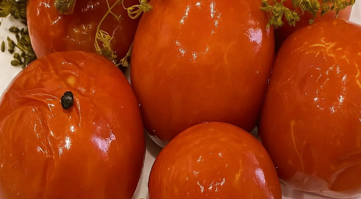 🍅 Малосольні квашені помідори — газовані, ароматні, як у дитинстві: простий рецепт, що повертає справжній домашній смак
