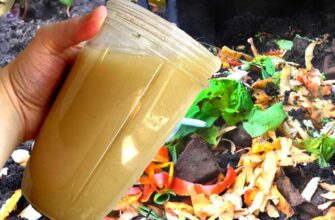 Агрономи радять – 2 інгредієнти для зимового компосту, що прискорюють перепрівання вдвічі