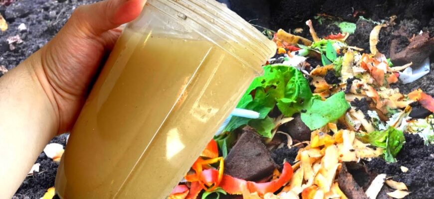 Агрономи радять – 2 інгредієнти для зимового компосту, що прискорюють перепрівання вдвічі