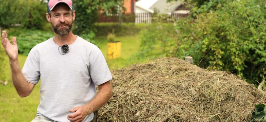 Краще за деревну золу та гній у 5 разів: у листопаді 2025 посипте грядки ось цим добривом