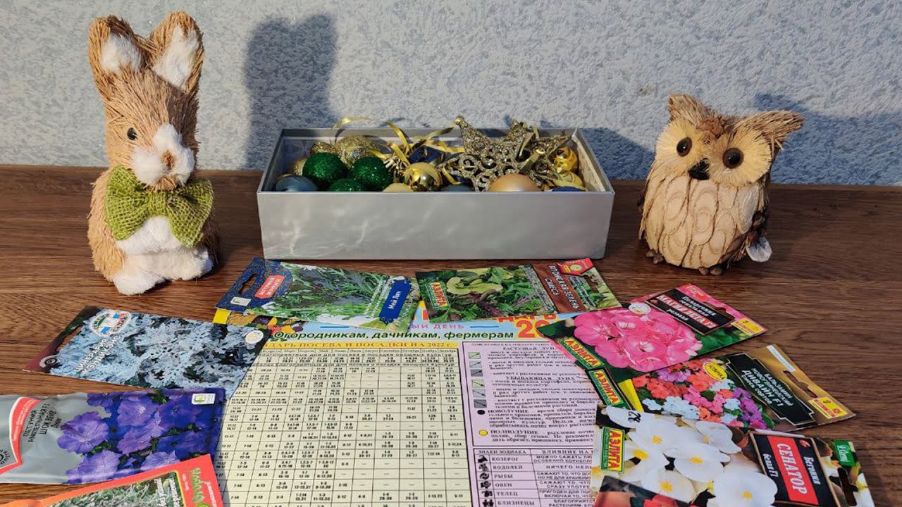 Посівний календар на грудень 2025 року