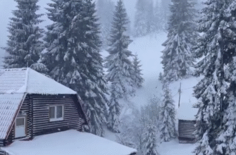 Мороз -12 уже вдарив по Україні: стихія накрила частину областей