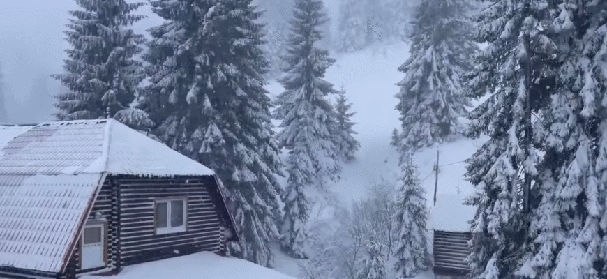 Мороз -12 уже вдарив по Україні: стихія накрила частину областей