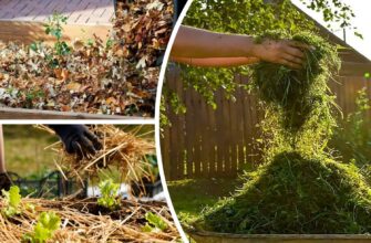 Мульчуючий шар восени – це як діаманти для землі: 3 найкращих варіанти, що підійдуть в якості мульчі