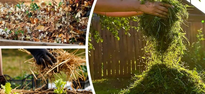 Мульчуючий шар восени – це як діаманти для землі: 3 найкращих варіанти, що підійдуть в якості мульчі