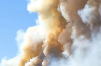 На Донеччині прикордонники знищили два новітні російські комплекси РЕБ «Чорне око». ВІДЕО