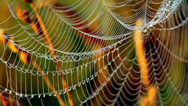 Не все пропало? Синоптикиня дала прогноз, чи буде ще в листопаді “бабине літо”