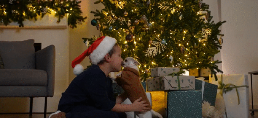 Новий рік 2026: в який день відзначатимемо і чи дадуть вихідний