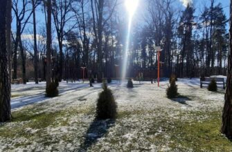 Ось це подарунок: в Україну йде аномально тепла зима без морозу та снігу