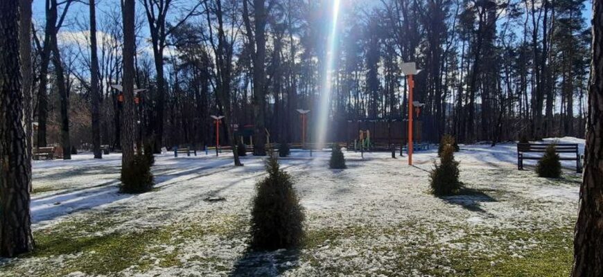 Ось це подарунок: в Україну йде аномально тепла зима без морозу та снігу