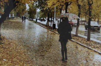 Осіння вогкість і майже літнє тепло: погода знову здивує українців