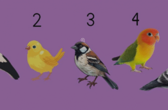 Перевірте себе! Психологічний тест, який покаже, як вас бачать інші