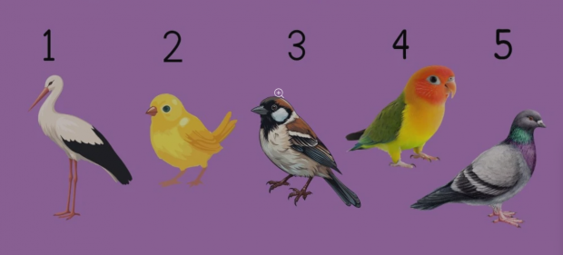 Перевірте себе! Психологічний тест, який покаже, як вас бачать інші