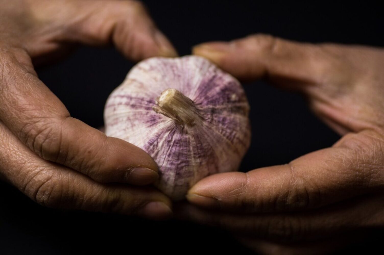 Агрономи назвали дві дати в листопаді, коли ще можна провести посадку часнику