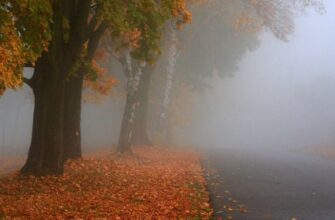 Перший рівень небезпечності: українців попередили про негоду