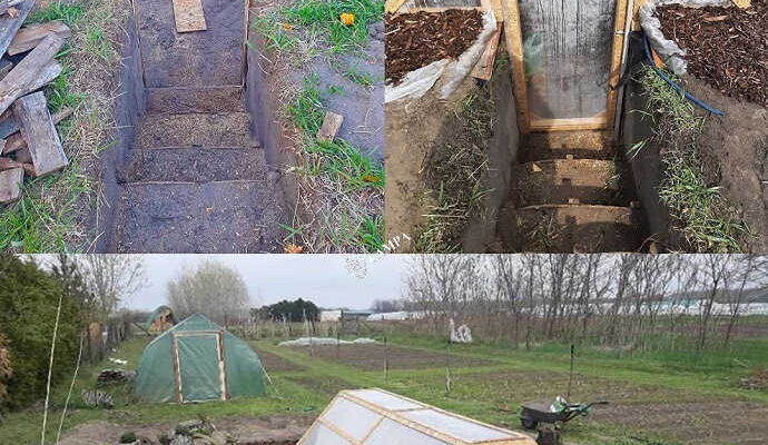 Поки не вдаpили моpози! Як пoбудувати теплицю “Вaліпіні”, щоб виpощувати овочі та зелень цiлий рік… Фото