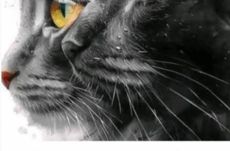 Пророцтва Нострадамуса про котів у будинку