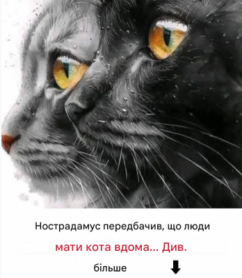 Пророцтва Нострадамуса про котів у будинку