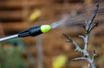 Я повторила 1 обробку саду за порадою діда Петра: так ось чому 2 покоління вперто не шукали нічого кращого!