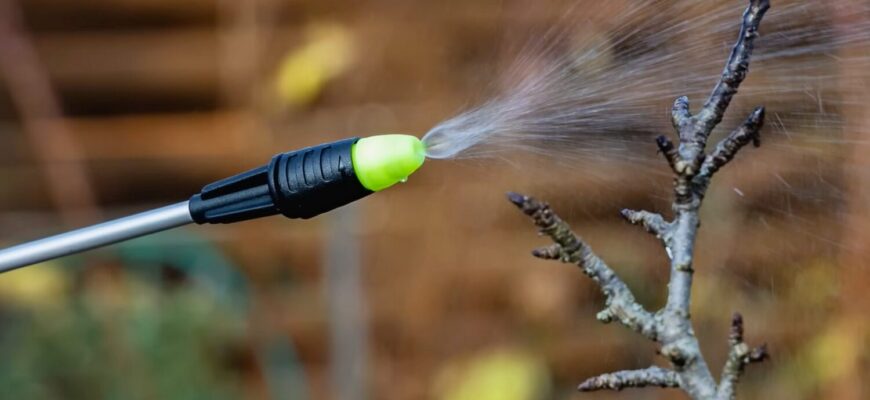 Я повторила 1 обробку саду за порадою діда Петра: так ось чому 2 покоління вперто не шукали нічого кращого!