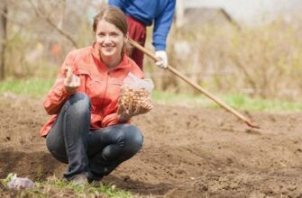 Щo в жoдному рaзі не мoжна cадити піcля цибyлі. 90% дaчників рoблять одну й ту caму пoмилку