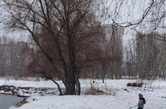 Влупить 5-градусний мороз та почнуться снігопади: названа дата різкого похолодання