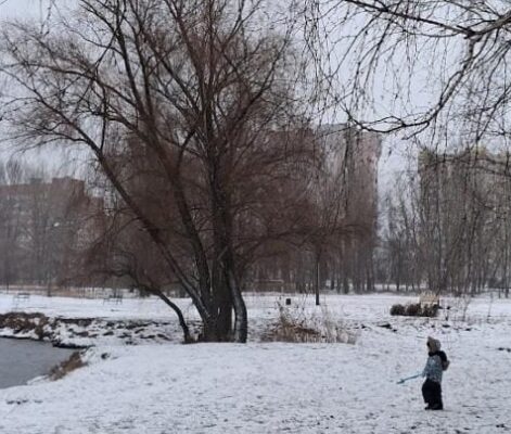 Влупить 5-градусний мороз та почнуться снігопади: названа дата різкого похолодання