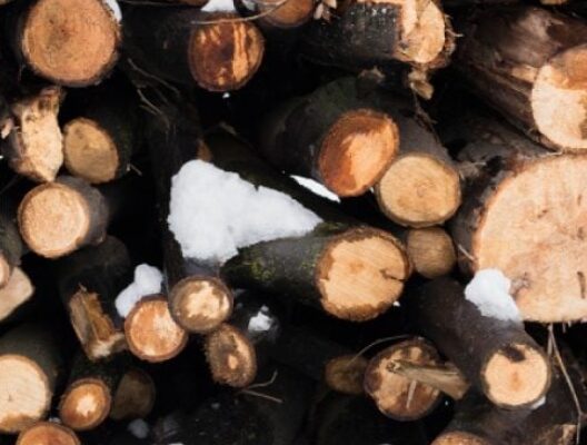 Сирі дрова горітимуть, як сухі: простий спосіб, який завжди працює