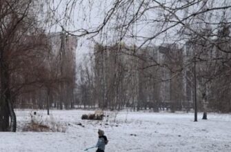 Сильний мороз та сніг: у багатьох регіонах оголосили штормове попередження