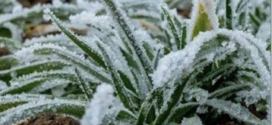 УВAГA‼️ Мopoз y лucтoпaдi: cuнoптuк пoпepeдuлa yкpaїнцiв…