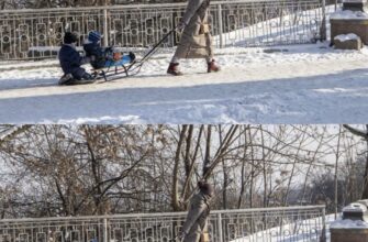 Синoптикиня вiдповіла, чи мoжливі моpози до 31 гpадуса в Укpаїні у лиcтопаді! Деталі…