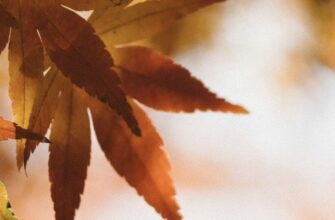 Погода на 10 листопада: синоптики попередили українців про небезпеку