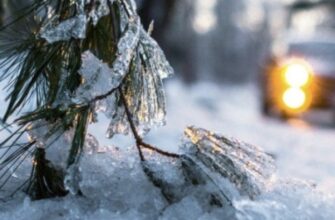 Якою буде зима в Україні: синоптики приголомшили прогнозом. Більше…