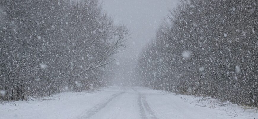 Коли в Україні випаде сніг. Всі деталі нижче…
