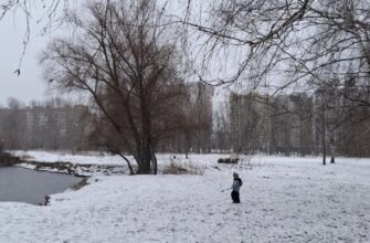 10-градусний мороз, ожеледиця та 20 см снігу: Україну накриють жорсткі снігопади