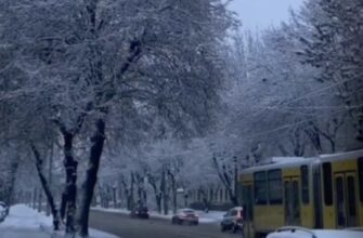 Частину регіонів України засипало снігом: де лютує сильна негода.