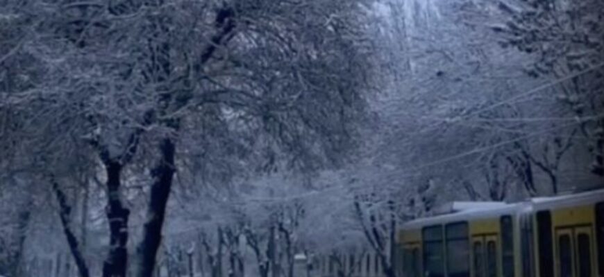 Частину регіонів України засипало снігом: де лютує сильна негода.