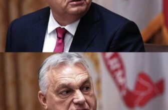 В голові не вкладається: Орбан вийшов з цинічною заявою щодо територій України