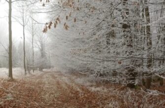 Холоди вже мчать до України: синоптикиня сказала, коли зміниться погода