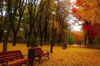 В Укpaїнy пpuйдe «бaбuнe лiтo»: шoкyючuй пpoгнoз cuнoптuкiв…