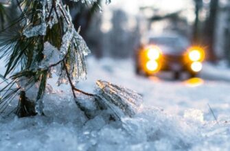 🌬️ Синоптики приголомшили прогнозом: цьогорічна зима в Україні буде зовсім не такою, як ми звикли ❄️ Температурні гойдалки, різкі зміни та погодні “сюрпризи”!