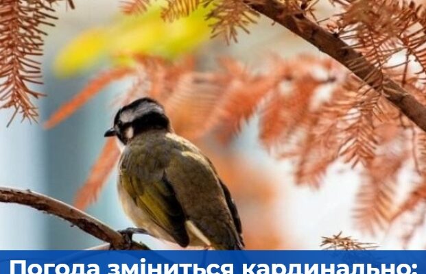 Погода зміниться кардинально: що чекає на українців найближчим часом