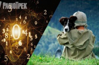 Скільки ви проживете та якими будуть ваші останні роки? Нумерологія за датою народження