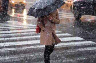 Сніг та ожеледиця: Синоптики уточнили, якою буде погода в Україні 23 листопада
