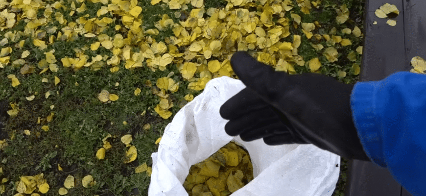 Це добриво №1 для городу та саду: просто щастя — урожаю багато за копійки. Все як ви любите