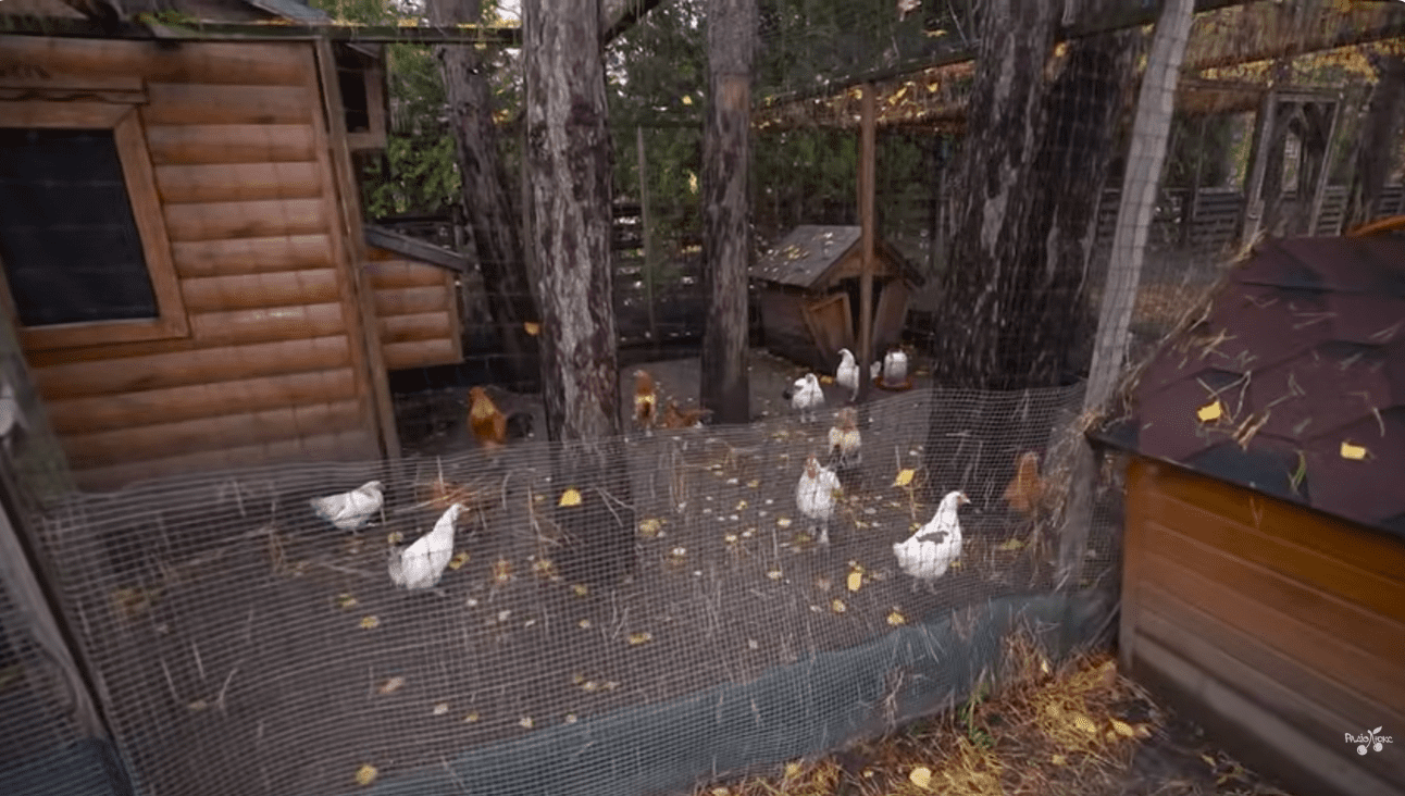 Камалія розповіла, скільки насправді помічників допомагають їй у побуті